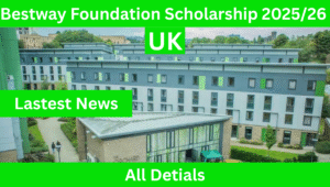 Read more about the article Bestway Foundation Scholarship 2025/26