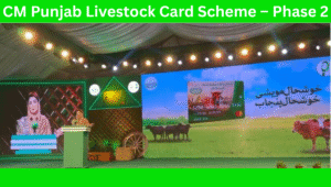 Read more about the article CM Punjab Livestock Card Scheme – Phase 2