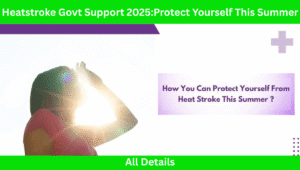 Read more about the article Heatstroke Govt Support 2025:Protect Yourself In Summer