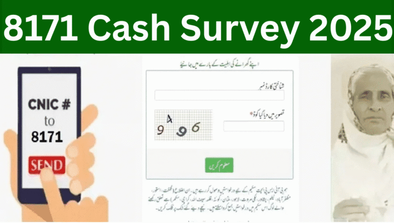 8171 Cash Survey 2025