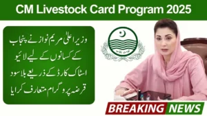 Read more about the article Punjab Interest-Free Livestock Loan Scheme 2025: Complete Guide for Farmers