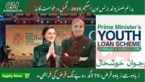 Read more about the article Thousands of Railway Porters Still Missing Out on the Interest-Free Loan Scheme 2025