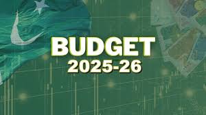 Read more about the article Punjab Development Programme 2025: Empowering Growth and Transforming Lives Across the Province